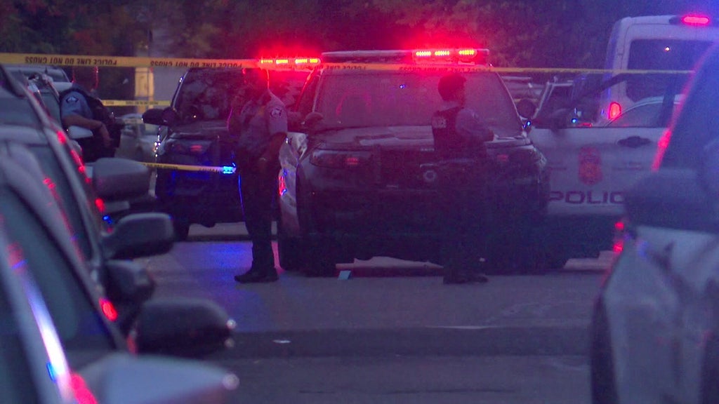Minneapolis officer fires gun when armed teen carjacker hits squad in stolen car, police say — WCCO / CBS Minnesota, Clermont Health news