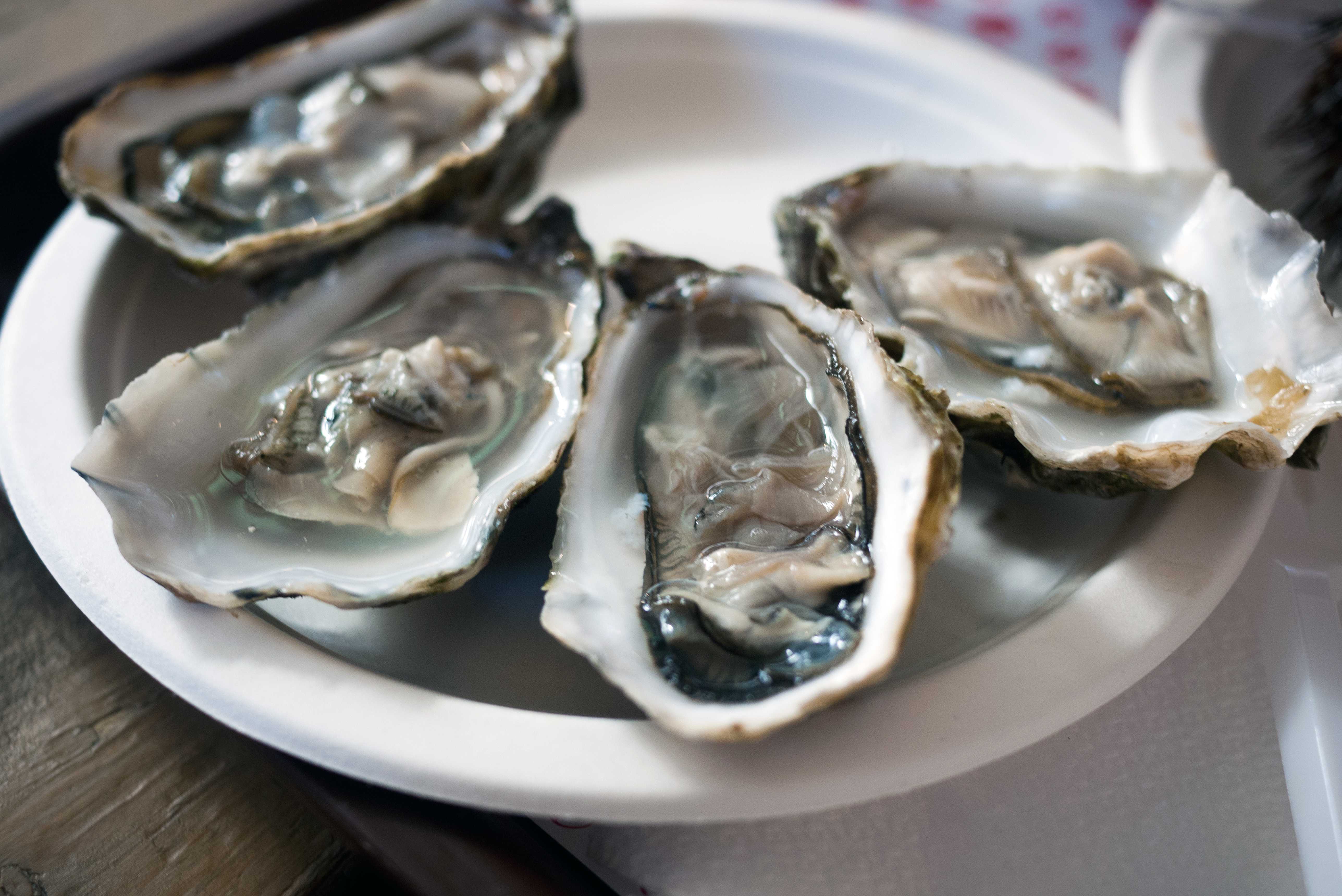 27 People Are Sick & 5 Hospitalized In A Multistate Raw Oyster Recall — WESH 2 Orlando, Clermont Dining news