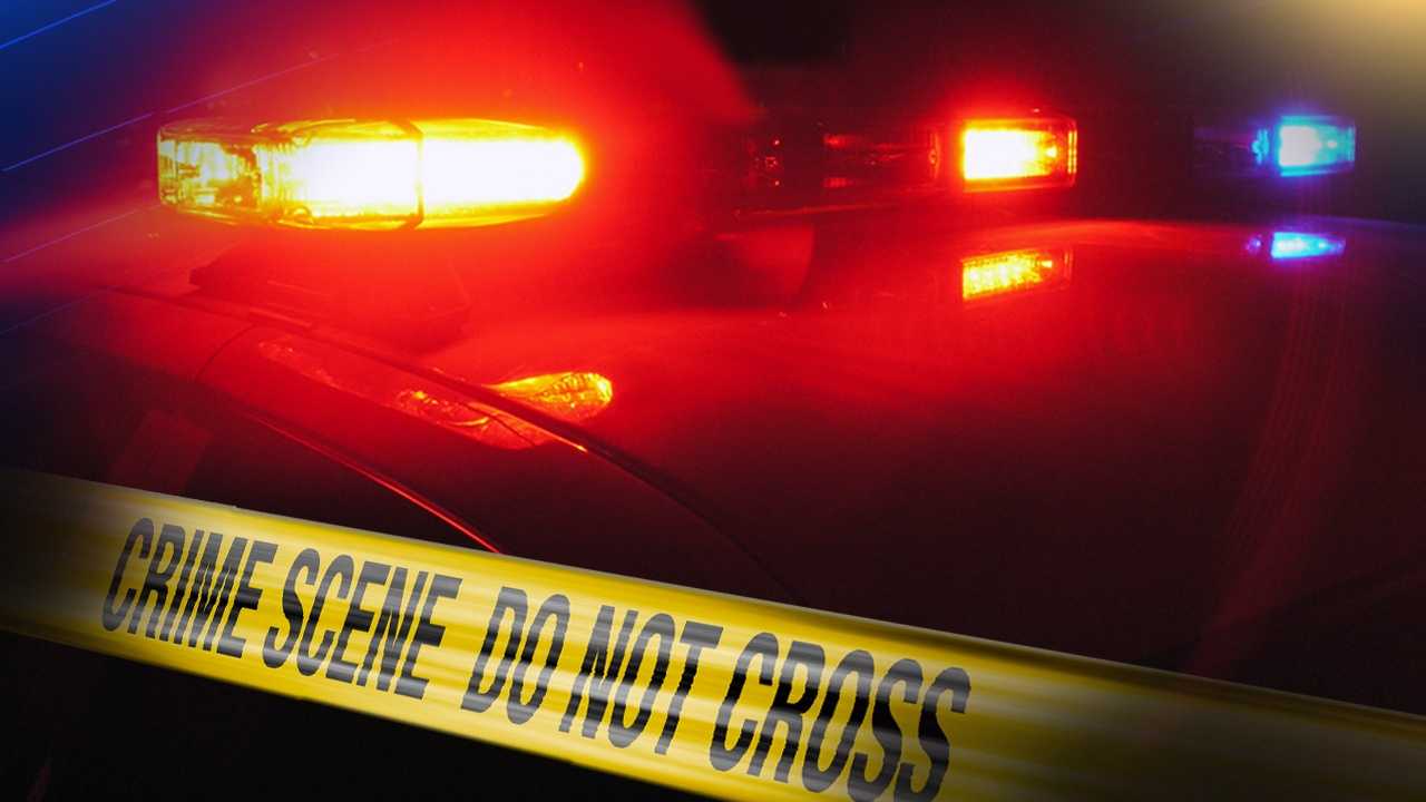 Police identify boy, man killed when pickup drove onto Kansas soccer fields — WESH 2 Orlando