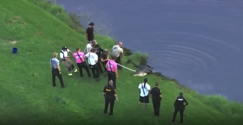 Winter Garden alligator attack victim died from blunt force injury, drowning, medical examiner finds — WESH 2 Orlando