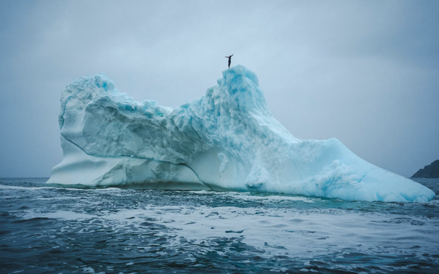 Cliff diver Molly Carson makes history, becomes first woman to dive off iceberg — WESH 2 Orlando, Clermont Community news