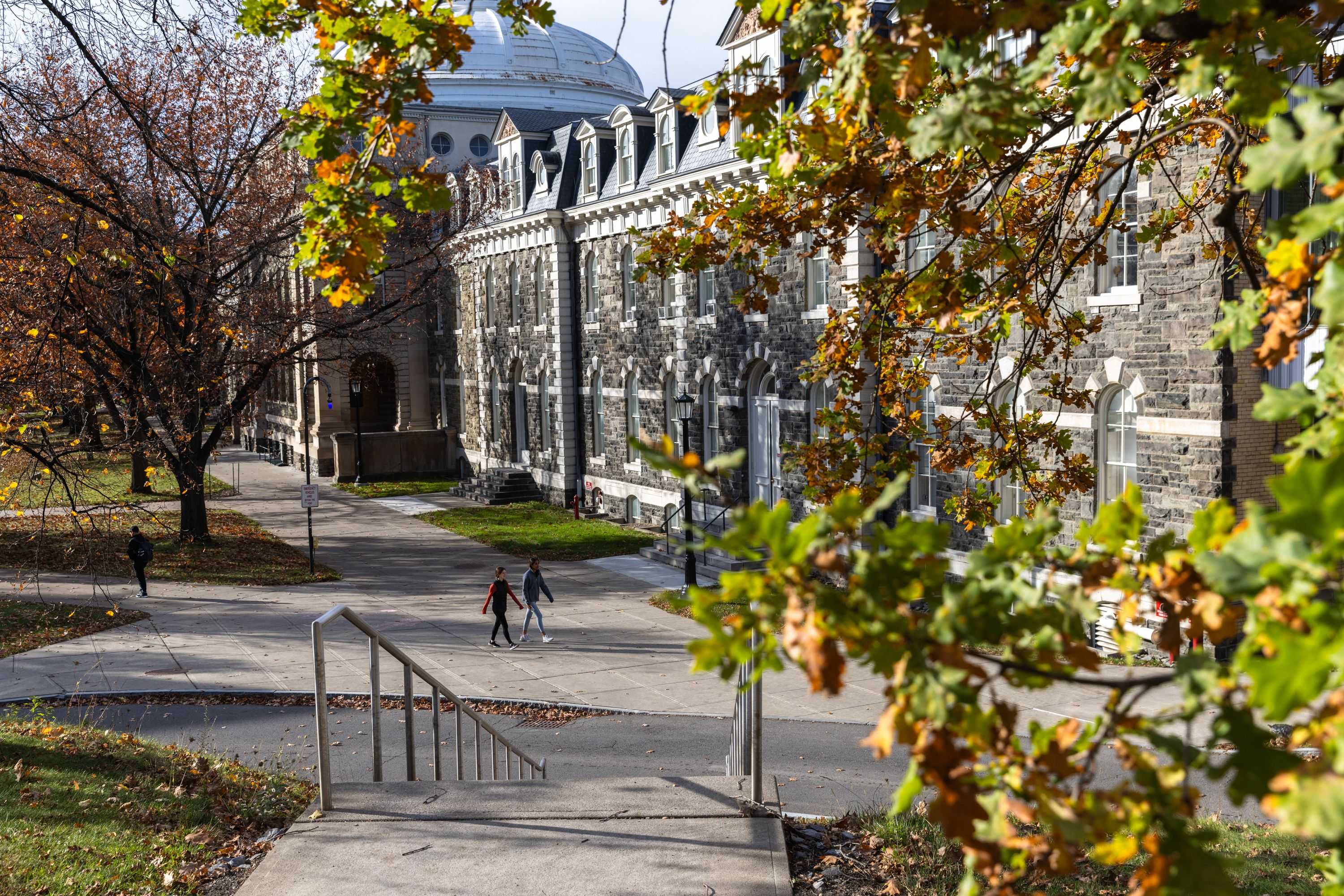 Cornell student suspended after 2023 alleged assault was then placed in co-ed dorm, professor says — WESH 2 Orlando