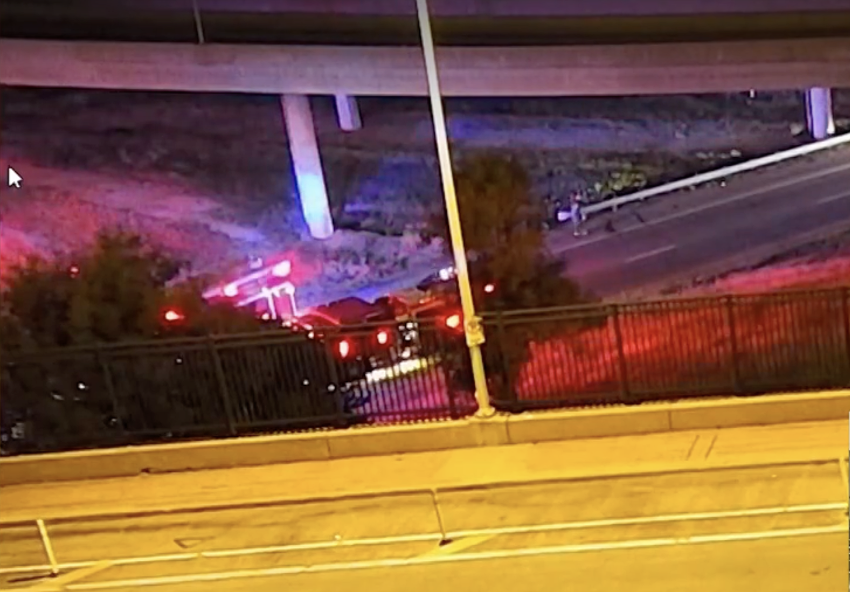 Cows roam downtown Kansas City after truck overturns, killing dozens of them — WESH 2 Orlando, Clermont Business news
