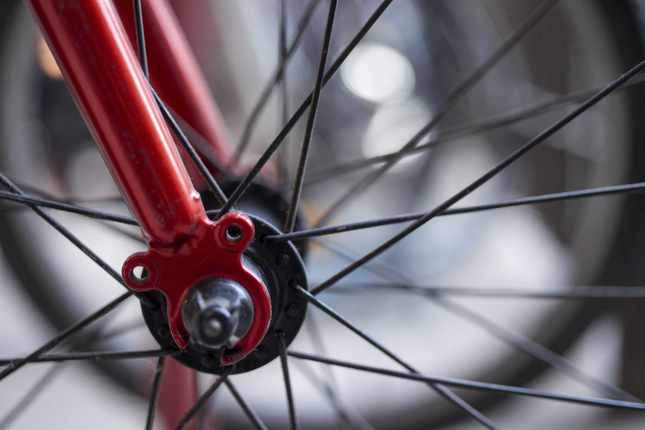Alleged drunk driver crashes into large group of cyclists in California, killing 2 — WESH 2 Orlando