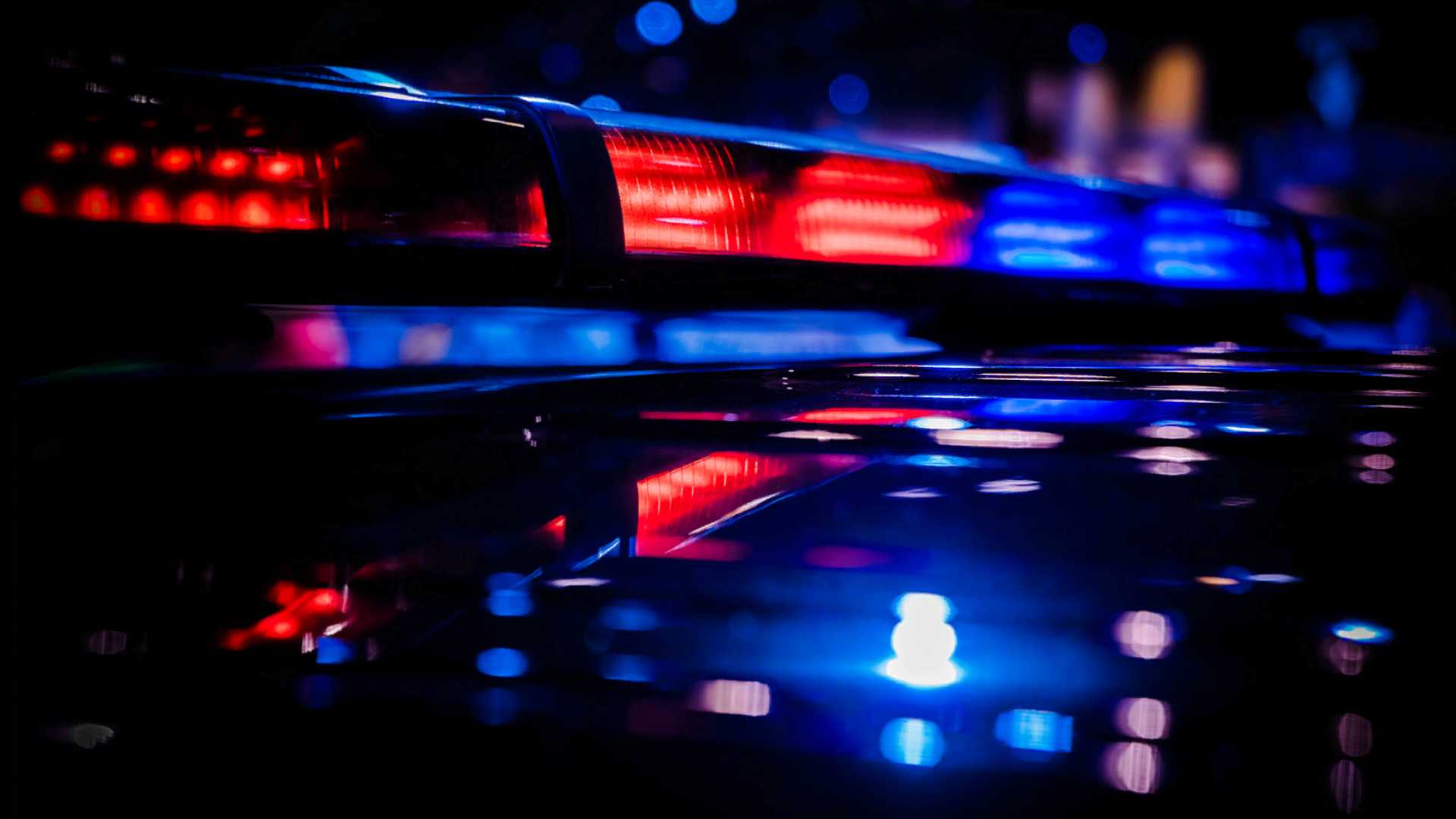 Body of woman found in wooded area in St. Cloud, police say — WESH 2 Orlando