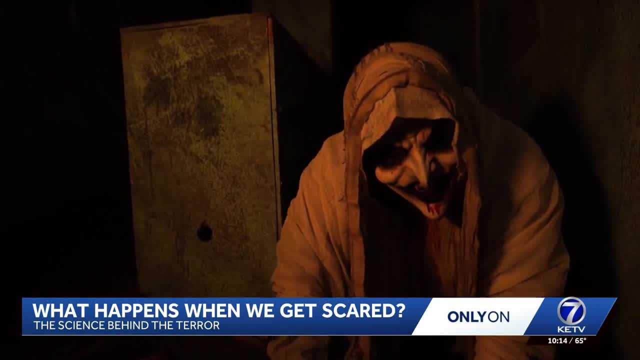 The science of being scared: What happens to your brain, body when fear strikes? — WESH 2 Orlando, Clermont Community news