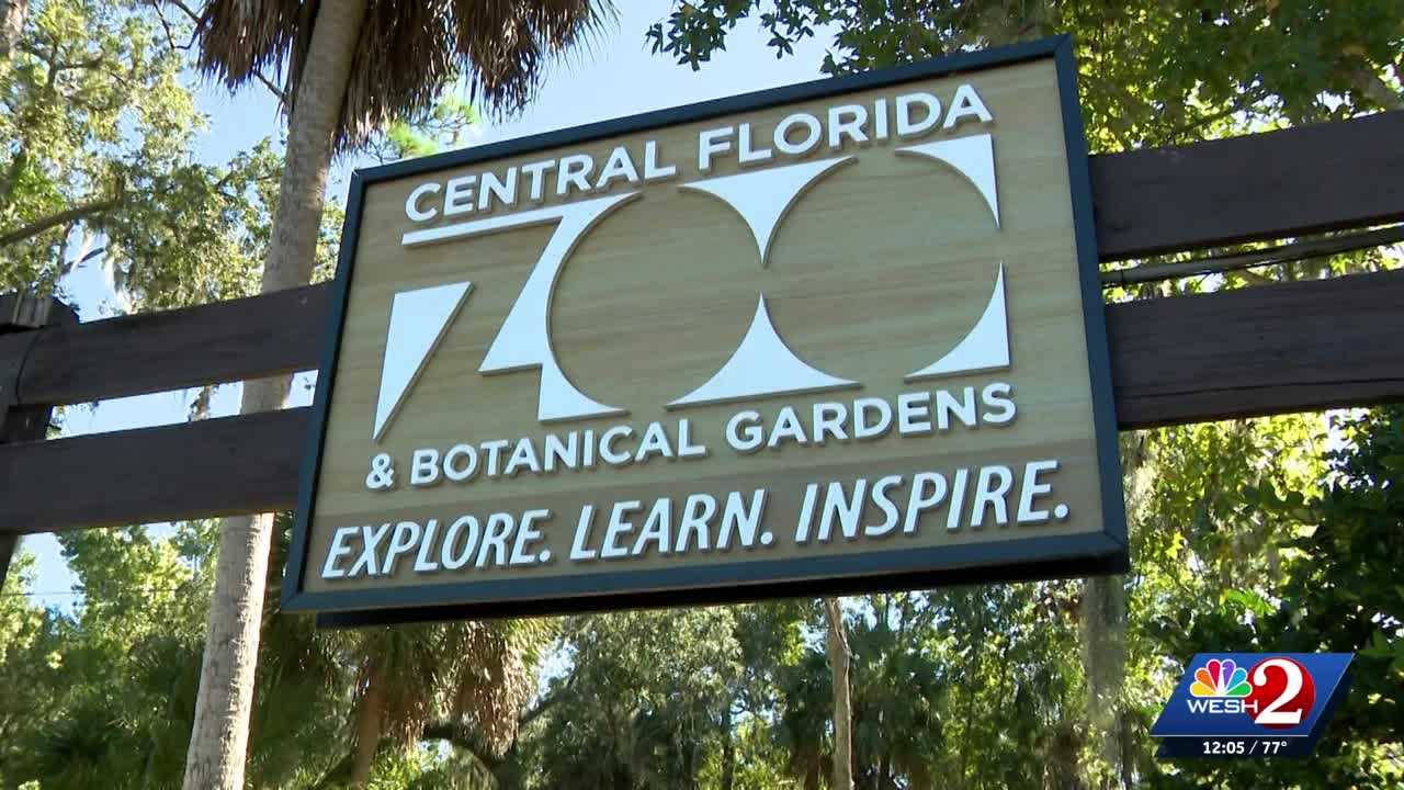 Officials gather to discuss new bipartisan bill to ban sloth imports — WESH 2 Orlando, Clermont Community news
