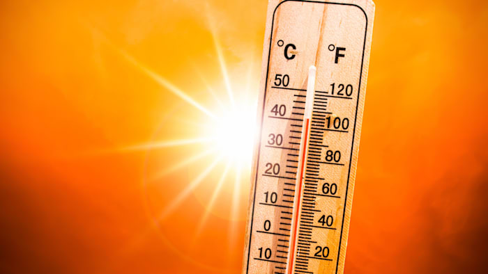 Central Florida Is Having One of Its Hottest Summers on Record. — ClickOrlando Local, Clermont Sports news